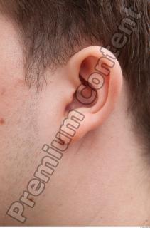 Ear texture of street references 427 0001